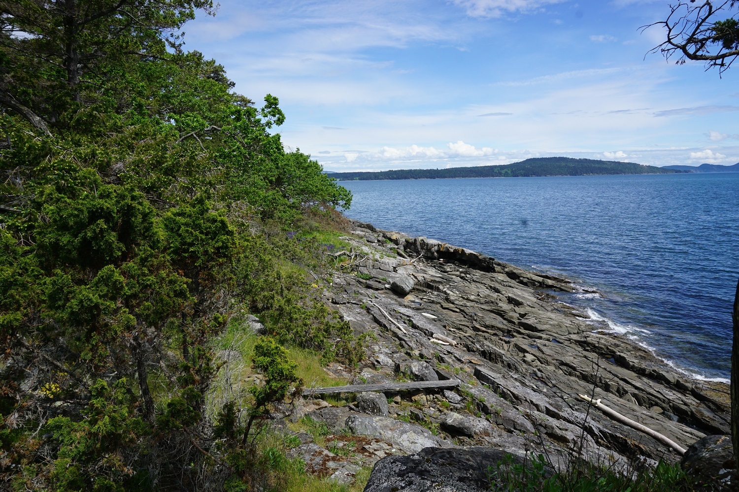 Colliers Unique Properties Hood Island, BC