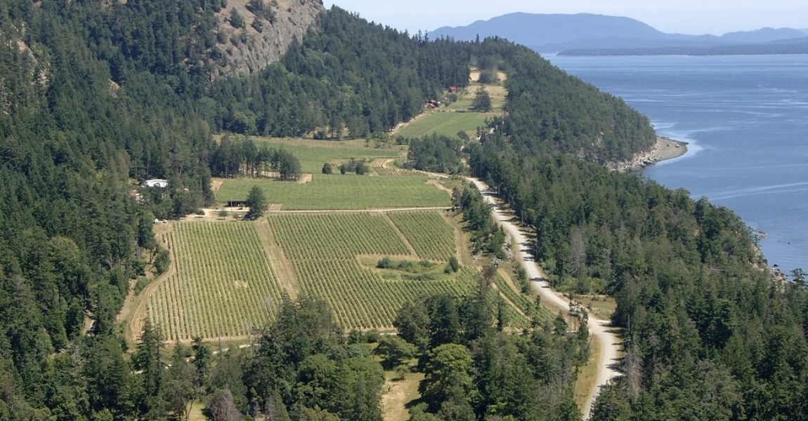 Saturna-Winery-Aerial-Resized.jpg