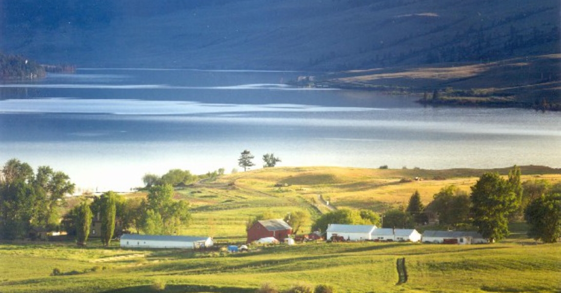 Colliers Unique Properties Stump Lake Ranch