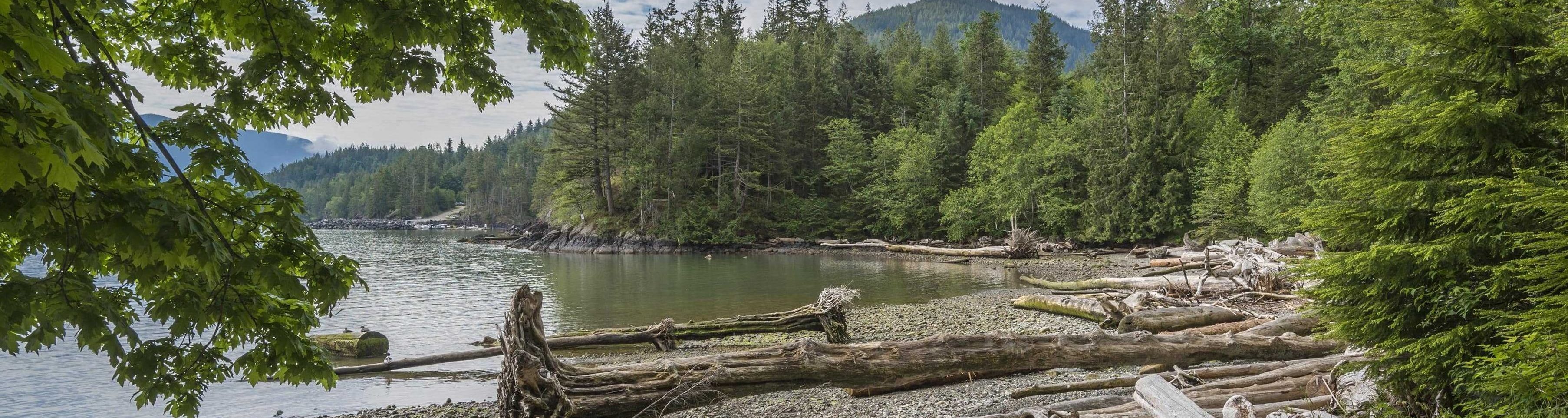 Gambier Island Waterfront Home