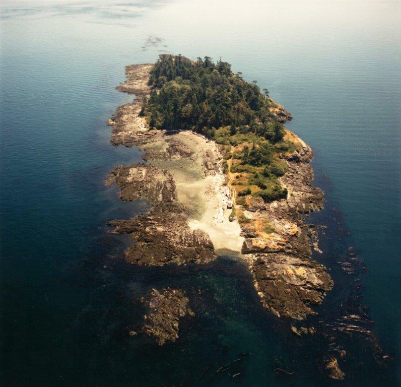 Halibut-Island-4.jpg#asset:3003