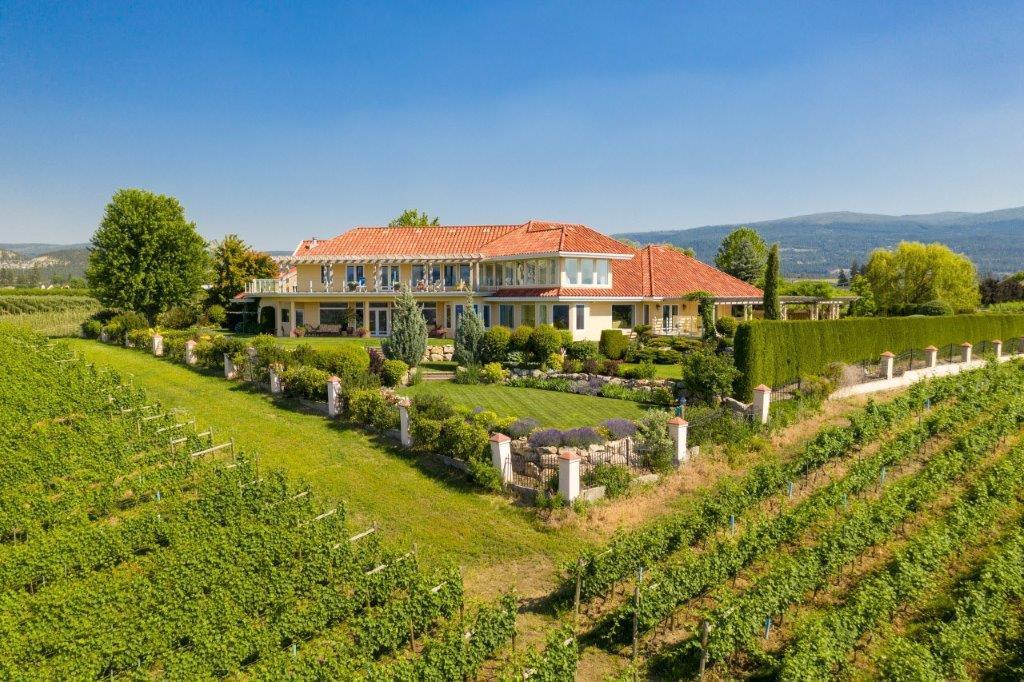 For Sale | The Vibrant Vine Winery