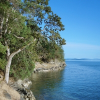 Decourcy Farm Waterfront