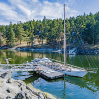 Eaglet Island 2