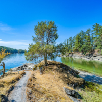 Eaglet Island 28