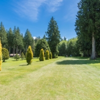 Meridian Ground 4