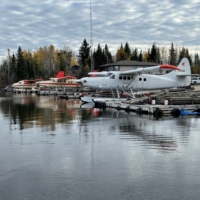 Osprey 16