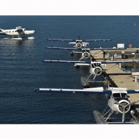 Harbour Air S Planes Use A Terminal In Coal Harbour Known As The Vancouver Centre Flight Centre Pho