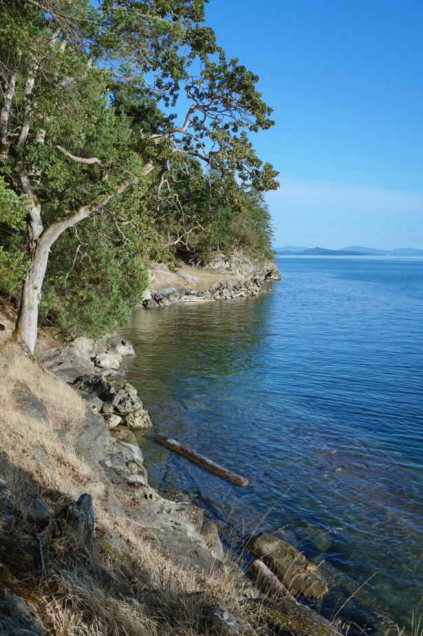 Decourcy Farm Waterfront