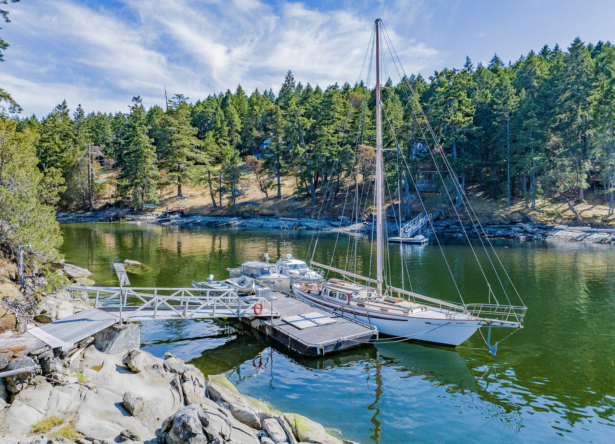 Eaglet Island 2