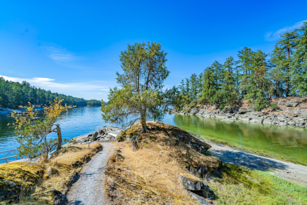 Eaglet Island 28