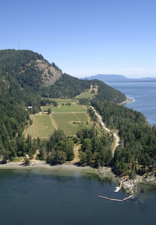 Saturna Winery Aerial