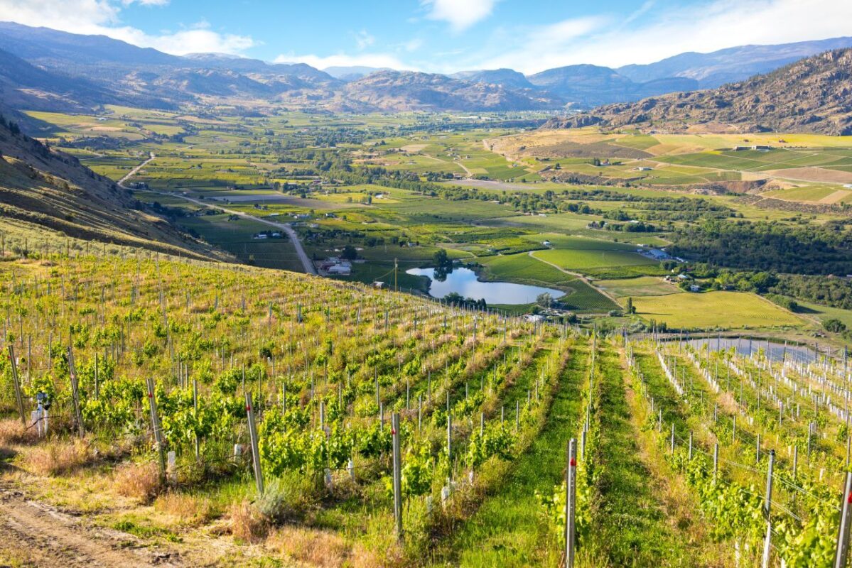 Maverick Estate Winery