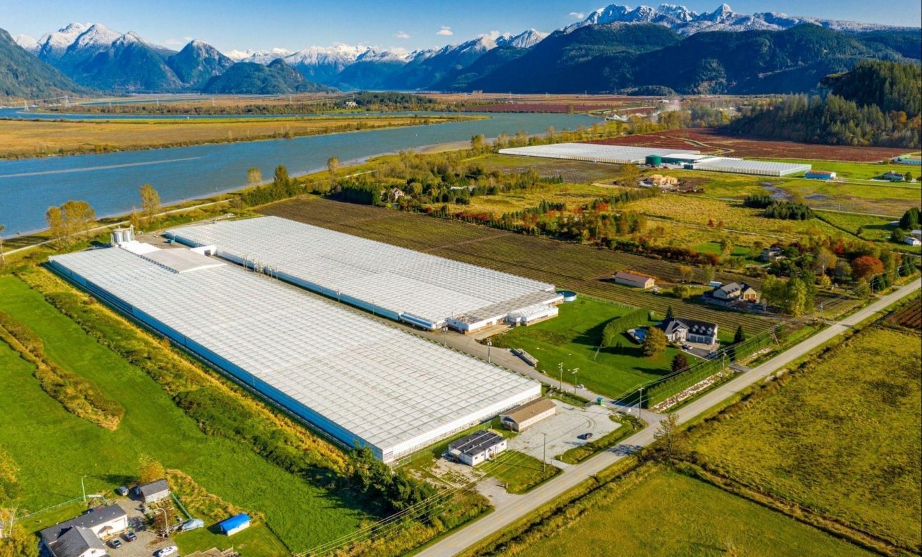 Pitt Meadows Greenhouse Facility