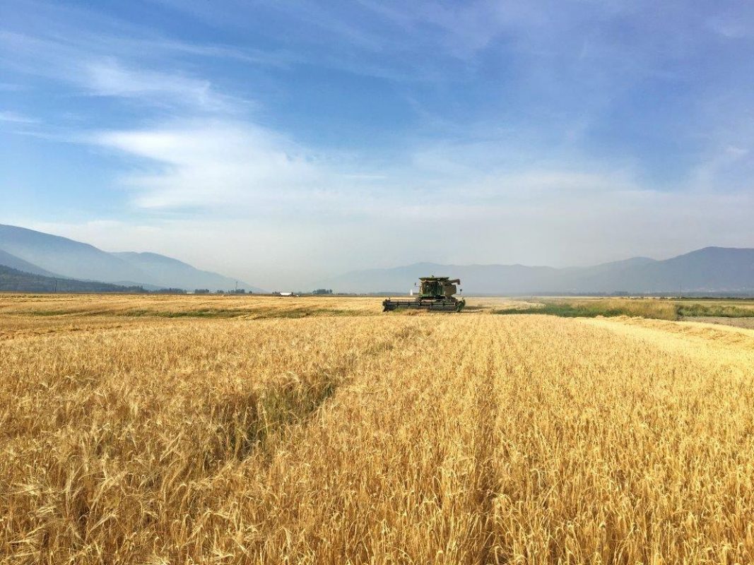 4,376 Acres of Agricultural Land for Sale in Creston, BC