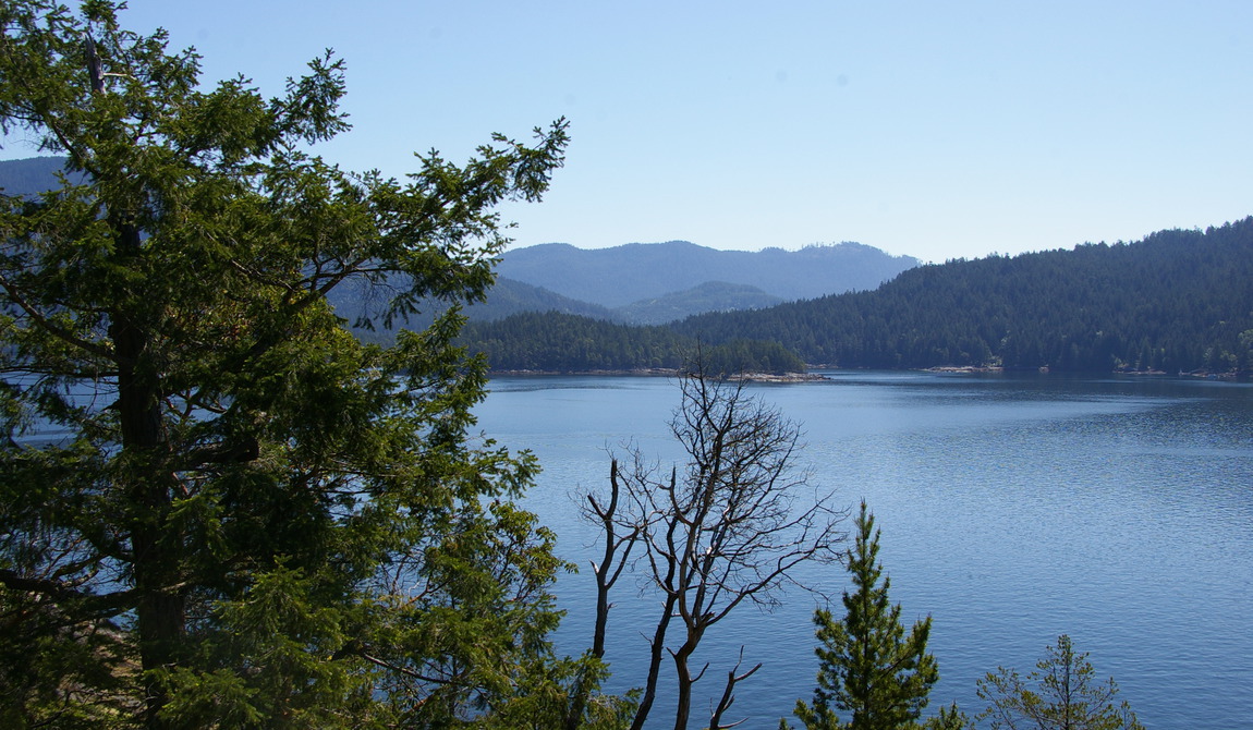 Fox Island Unique Properties