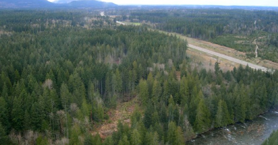 Timberwest Forestry Land Colliers Unique Properties